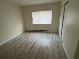 move-out cleaning